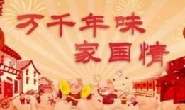 春节爆料视频新闻稿子,独家视频新闻稿揭示节日背后的故事